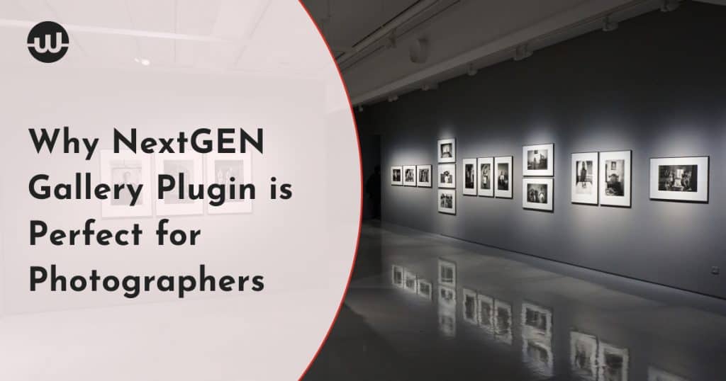NextGEN Gallery Perfect for Photographers