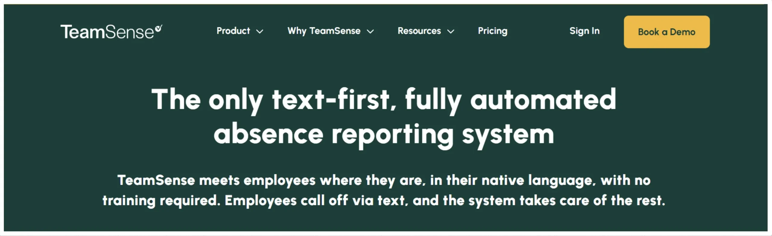 TeamSense