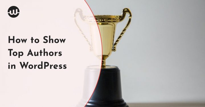 How to Show Top Authors in WordPress