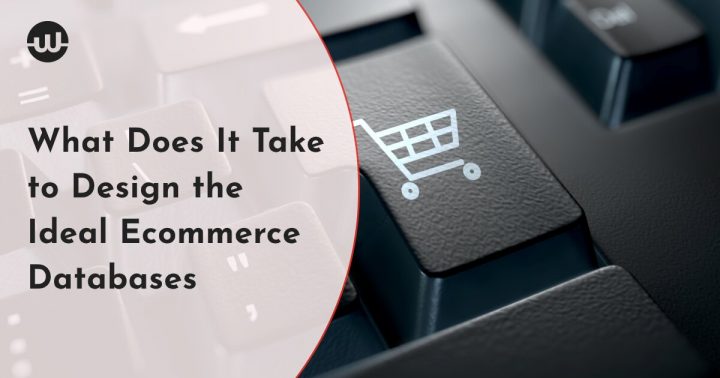 What Does It Take to Design the Ideal Ecommerce Databases for Flawless Operations