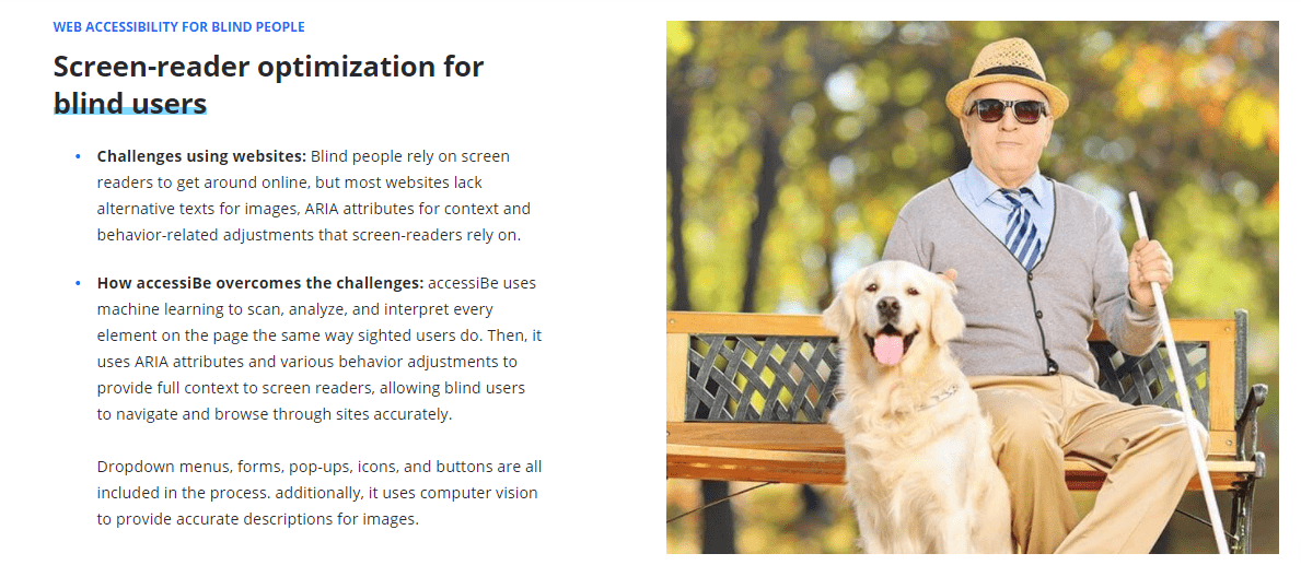 Screen-reader optimization 