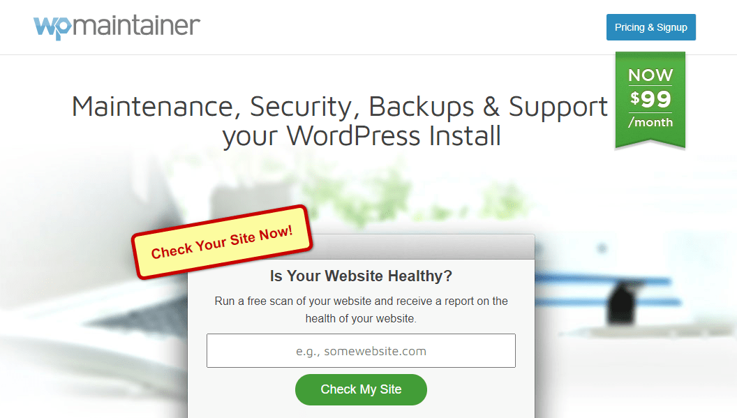 WP Maintainer