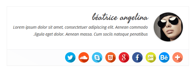 Simple Author Box Pro author box example