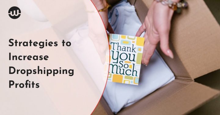 Strategies to Increase Dropshipping Profits