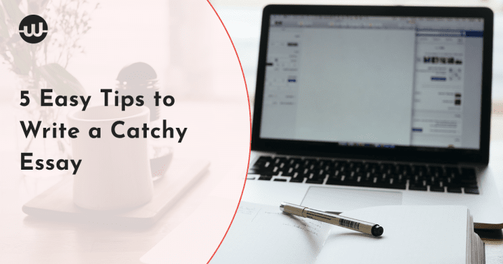 Essay Writing Tips