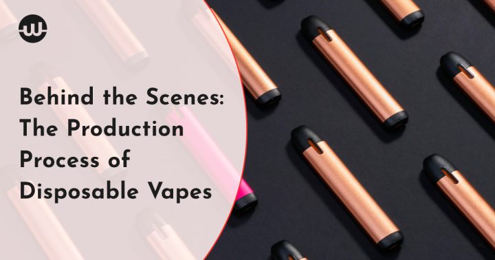 Behind the Scenes: The Production Process of Disposable Vapes