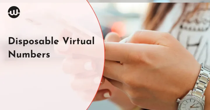Privacy in the Digital Age: How Disposable Virtual Numbers Safeguard Your Online Transactions