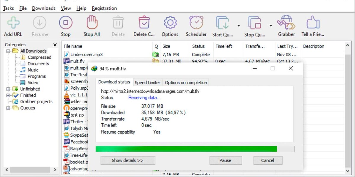 Overview of IDM and Its Features