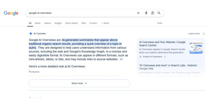 What Are Google AI Overviews?
