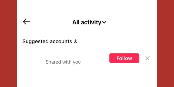 What Does "Shared with You" Mean on TikTok?