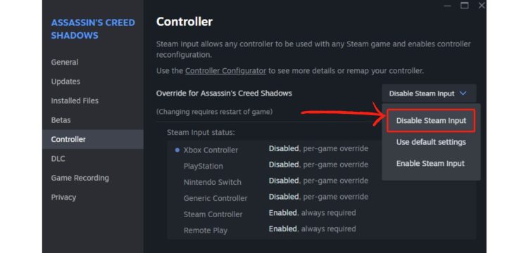 Disable Steam Input