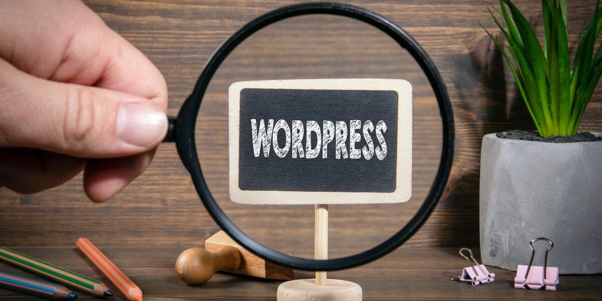 What Percentage of the Internet Uses WordPress Today?