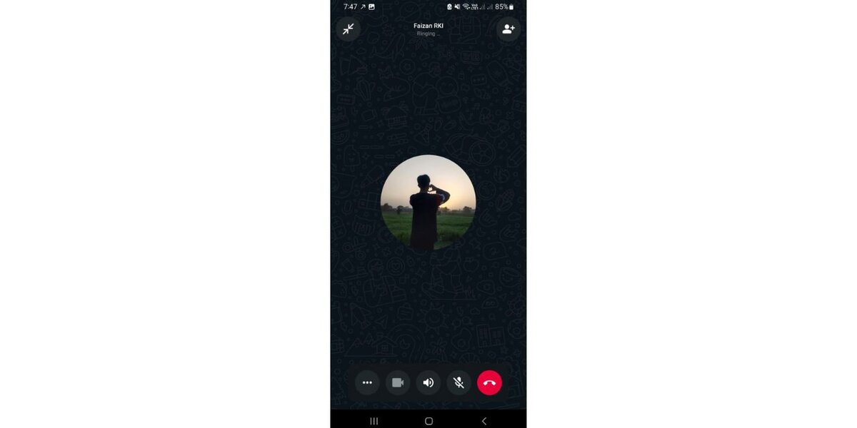 WhatsApp Voice and Video Calls