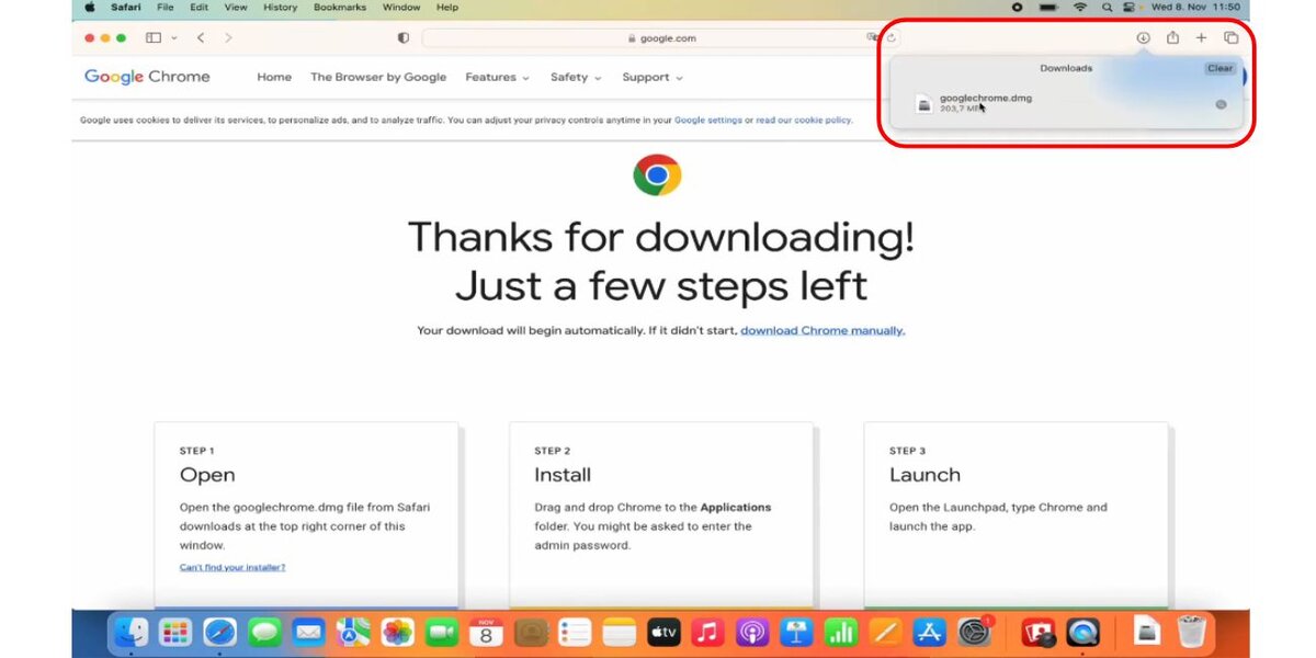When the download finishes, open the file named googlechrome.dmg