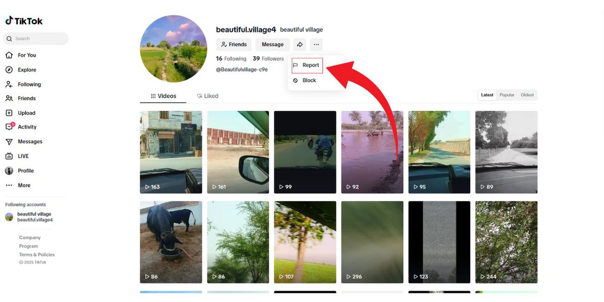 How to Block Others on TikTok